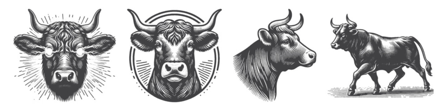Vintage Hand-Drawn Angry Cattle Illustration, Farm Animal Engraved Vector for Livestock and T-Shirt Design