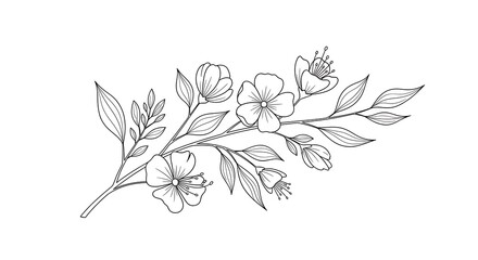 Delicate floral branch with open blossoms and closed buds, outlined in black on a white background