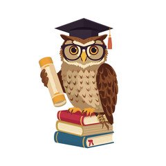 Graduation Owl with Diploma Standing on Books Cute Academic Animal PNG