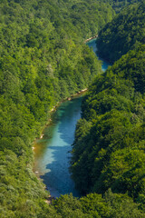 Enchanting View of the Clear Blue River Flowing Through a Lush Green Forest in Montenegro, Showcasing the Natural Beauty of the Undisturbed Wilderness