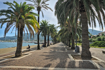 Fototapeta premium A view of the promenade in La Spezia, lined with tall palm trees and overlooking a harbor filled with boats and yachts, with a hillside and buildings in the background.