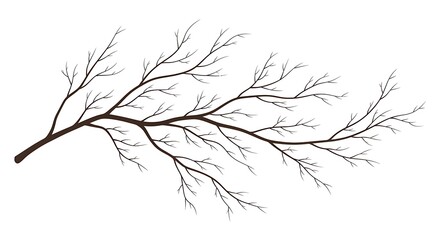 Detailed Illustration of a Bare Tree Branch