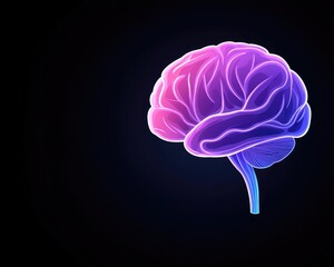 Illuminated Brain (1)