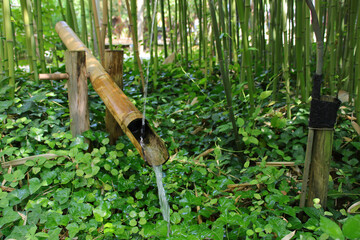 bamboo fountain in a japanese and oriental park in france 