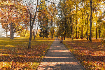 path in autumn park