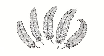 Elegant Black and White Feather Design Arrangement