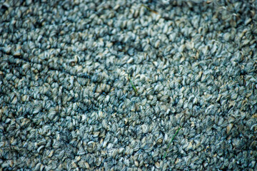 close up of blue carpet texture