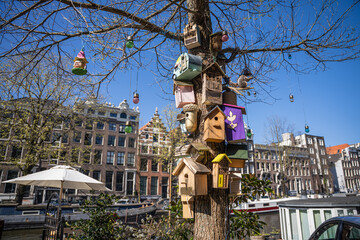 Bird houses in Amsterdam