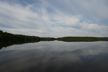 reflection of trees in water