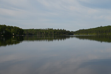 reflection of trees in water