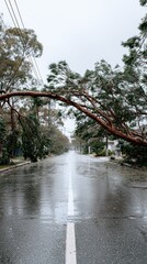 A tree has fallen across a wet, deserted road, surrounded by greenery, indicating recent stormy weather and its impact on the landscape.