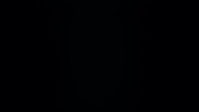 Nostalgic Vintage Glow – Warm golden halo effect produced by Japanese Takumar lens.