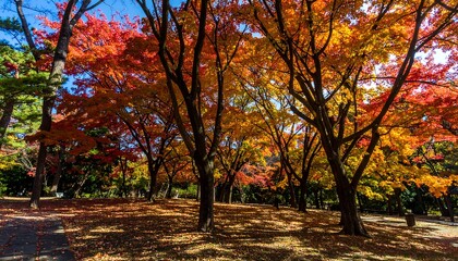 Naklejka premium Autumn foliage colors in a park.