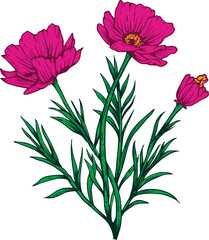 vector illustration of a flower