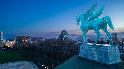 horse © Mateusz