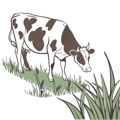 cow on the meadow