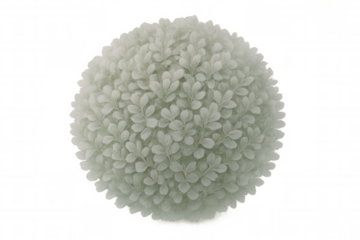 Green leaves forming a perfect sphere, ideal for environmental concepts or nature-related designs, with transparent background for easy integration