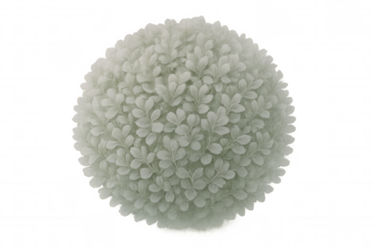 Green leaves forming a perfect sphere, ideal for environmental concepts or nature-related designs, with transparent background for easy integration