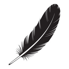 Fototapeta premium Black feather with white lines on a white background quill bird