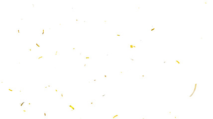 Confetti partical isolated background. 3d Rendering Transparent Confetti. 3d render of Spiral Gold confetti flying. Golden Confetti Transparent Background. Gold Confeti Failling White Background
