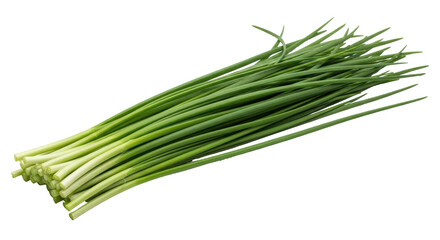 Isolated Bunch of Fresh Chives