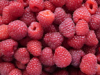 Large domestic raspberries photographed close-up. Macro.
