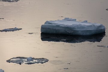 A sea of drifting ice reflecting the sunset © 多田 智