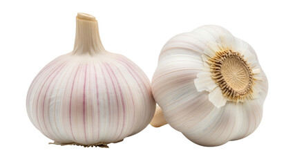 Isolated Two Garlic Bulbs
