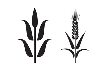 Two stylized black silhouettes of grain stalks on white background