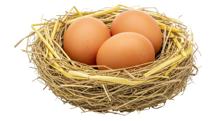 Isolated Eggs in a Nest