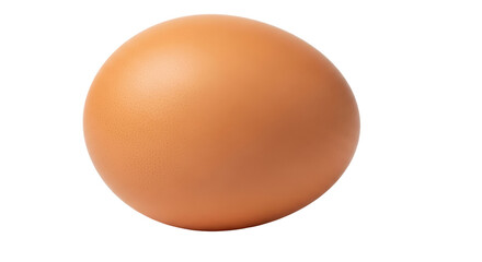 Isolated Brown Egg
