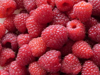 Large domestic raspberries photographed close-up. Macro.