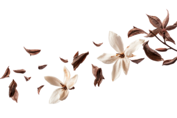 PNG Vanillas flying white