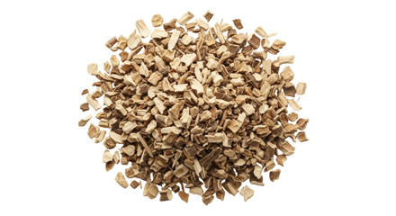 Isolated Dandelion root