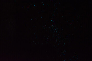 Mystical Blue Lights in Darkness