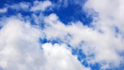 Obraz premium The sky is a stunning bright blue adorned with fluffy white clouds