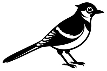 Obraz premium Bluejay Bird Line Art Vector Illustration