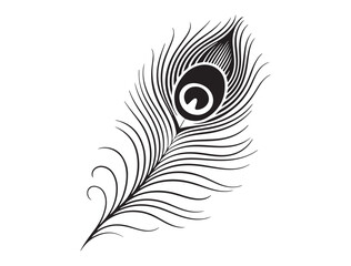 Vector silhouette of a Peacock feather logo design, Hand drawn Peacock feather set, Peacock feather logo design vector illustration, Peacock feather logo icon template vector illustration. © Nargis