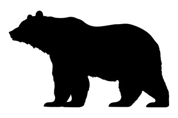 Fototapeta premium PNG Bear silhouette wildlife mammal.
