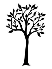 Obraz premium PNG Tree with leaf silhouette drawing sketch.
