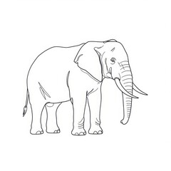 minimalistic linear elephant drawing, simple black and white contour illustration, vector, isolated, modern minimal contour sketch