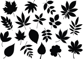 Black silhouette leaf collection, botanical foliage outline shapes, assorted plant leaves, nature elements, decorative vector set, cad drawing flat vector illustration
