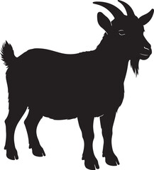 Obraz premium American pygmy goat farm animal silhouette vector illustration