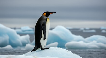 Fototapeta premium Emperor Penguin Perched on a Snowy Ice Peak with Deep Blue Glacial Water and Icebergs in the Background