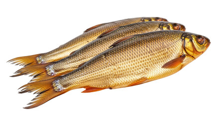 Isolated Three Golden Fish