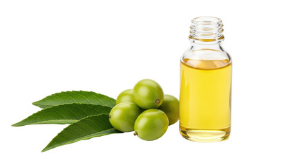 Isolated Jojoba Oil and Jojoba Fruits