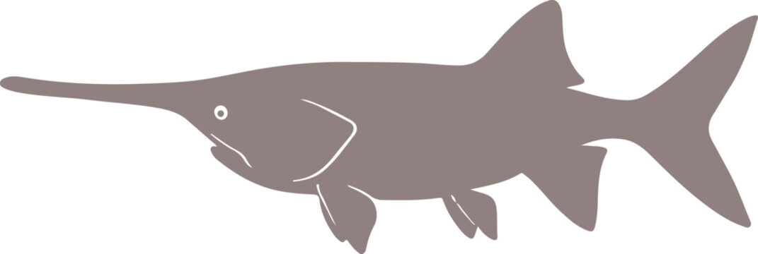 Paddlefish illustration for banner and advertisement