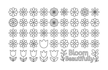 Fototapeta premium Outline Flowers Tulips and Text Bloom Beautifully floral