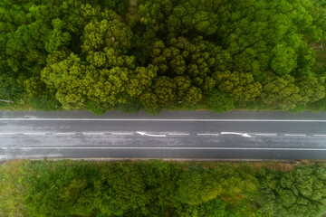 An empty country road with beautiful spring foliage, a peaceful driving experience.