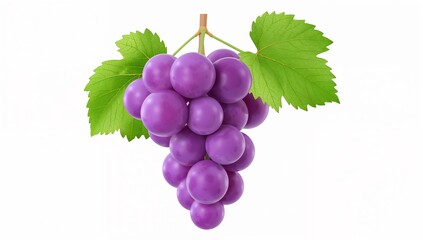 A bunch of purple grapes with green leaves on stem